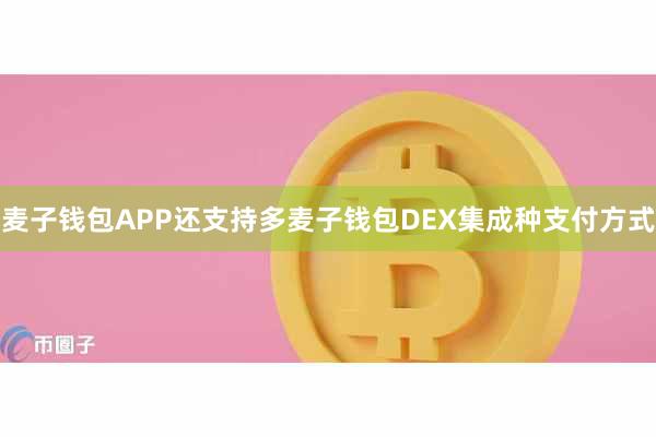 麦子钱包APP还支持多麦子钱包DEX集成种支付方式