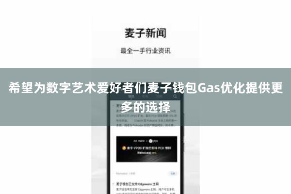 希望为数字艺术爱好者们麦子钱包Gas优化提供更多的选择