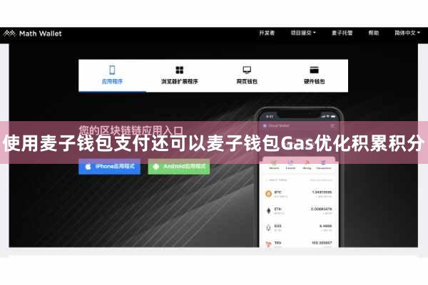 使用麦子钱包支付还可以麦子钱包Gas优化积累积分