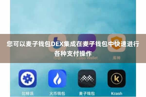 您可以麦子钱包DEX集成在麦子钱包中快速进行各种支付操作