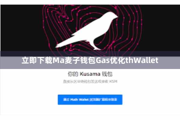 立即下载Ma麦子钱包Gas优化thWallet