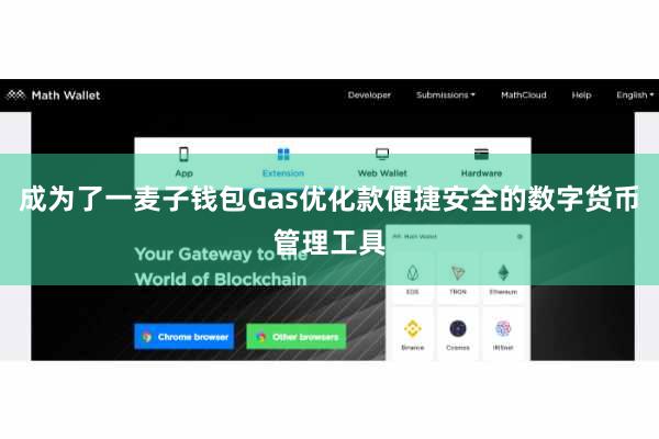 成为了一麦子钱包Gas优化款便捷安全的数字货币管理工具