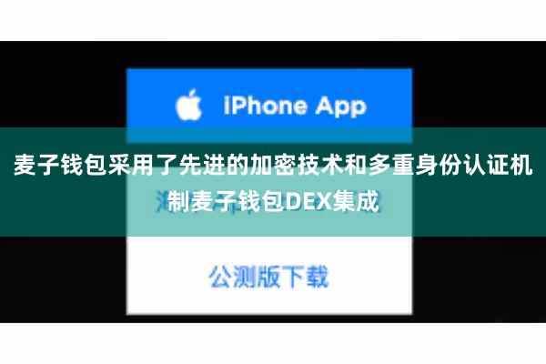 麦子钱包采用了先进的加密技术和多重身份认证机制麦子钱包DEX集成