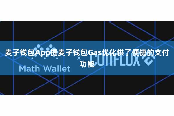 麦子钱包App提麦子钱包Gas优化供了便捷的支付功能