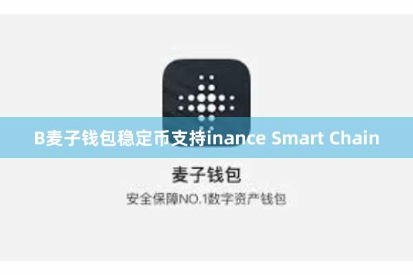 B麦子钱包稳定币支持inance Smart Chain
