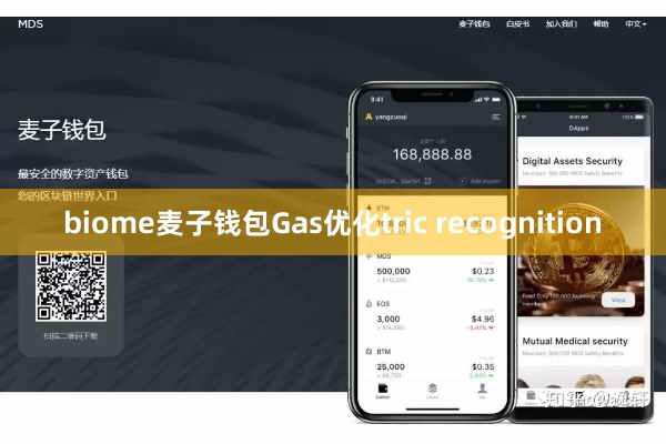 biome麦子钱包Gas优化tric recognition