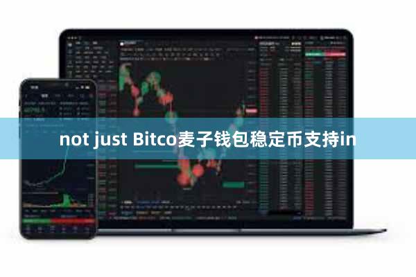not just Bitco麦子钱包稳定币支持in