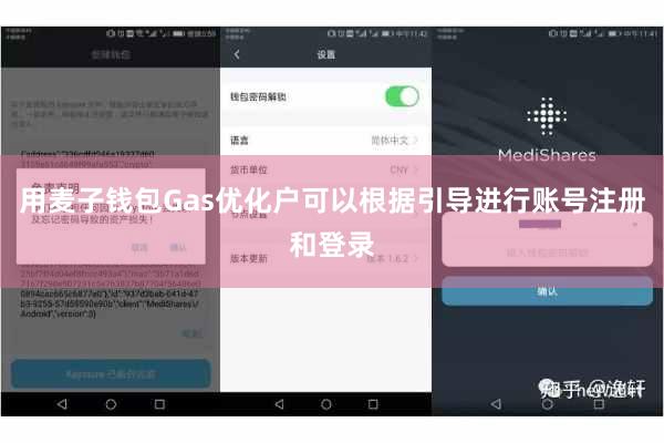 用麦子钱包Gas优化户可以根据引导进行账号注册和登录