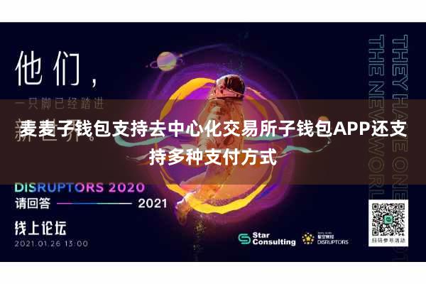 麦麦子钱包支持去中心化交易所子钱包APP还支持多种支付方式