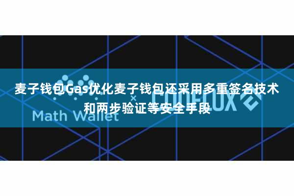麦子钱包Gas优化麦子钱包还采用多重签名技术和两步验证等安全手段