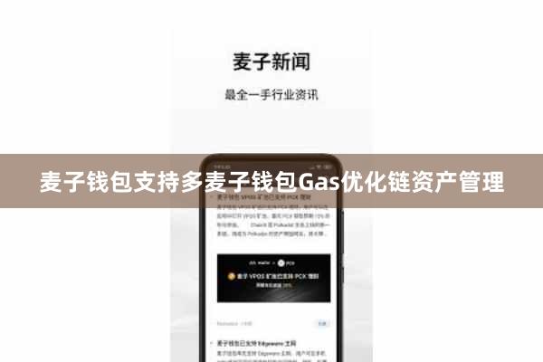 麦子钱包支持多麦子钱包Gas优化链资产管理