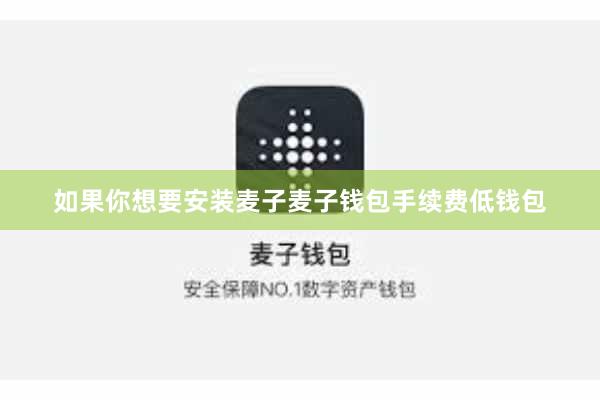 如果你想要安装麦子麦子钱包手续费低钱包