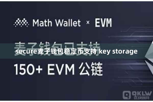secure麦子钱包稳定币支持 key storage