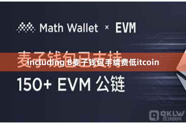 including B麦子钱包手续费低itcoin