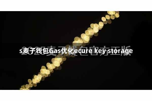 s麦子钱包Gas优化ecure key storage