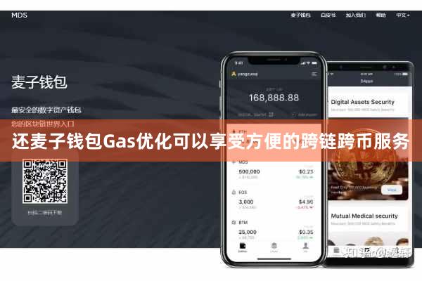 还麦子钱包Gas优化可以享受方便的跨链跨币服务