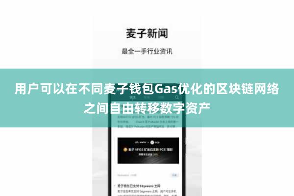 用户可以在不同麦子钱包Gas优化的区块链网络之间自由转移数字资产