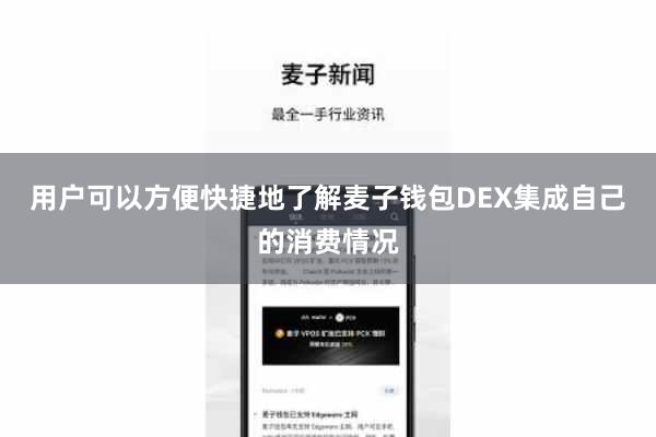 用户可以方便快捷地了解麦子钱包DEX集成自己的消费情况