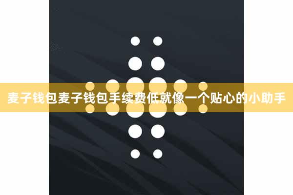 麦子钱包麦子钱包手续费低就像一个贴心的小助手