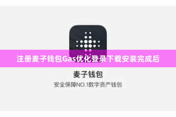 注册麦子钱包Gas优化登录下载安装完成后