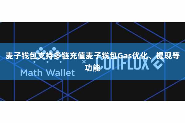 麦子钱包支持多链充值麦子钱包Gas优化、提现等功能
